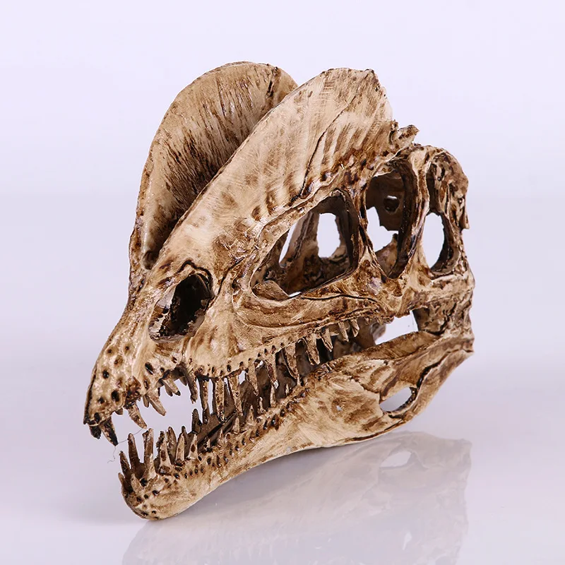 Dinosaur And Craft - [MGT] Hars Ambachtelijke Decoratie Dinosaurus Schedel