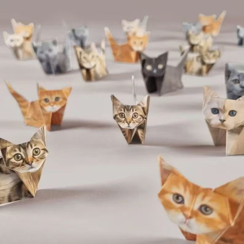 50 stuks 3D dieren DIY origami - Dinosaur And Craft recensie en prijs