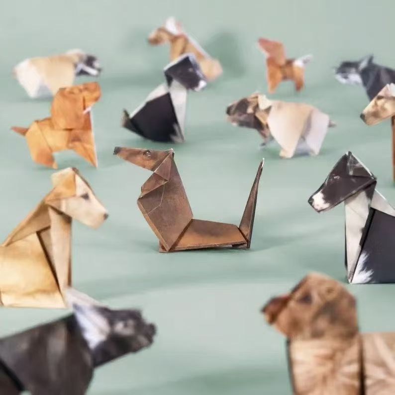 50 stuks 3D dieren DIY origami - Dinosaur And Craft recensie en prijs